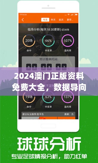 2024澳门免费资料,正版资料,数据驱动执行决策_Prime83.456