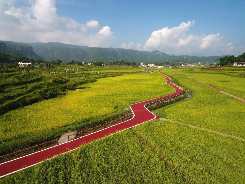 四川僰王山镇稳步前行，发展与变革的最新动态