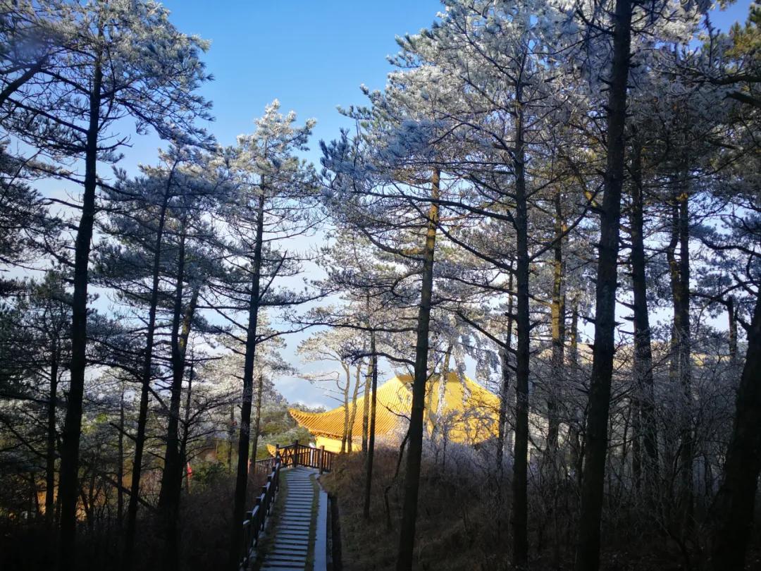 天岳幕阜山新进展揭秘，壮丽篇章揭开神秘面纱